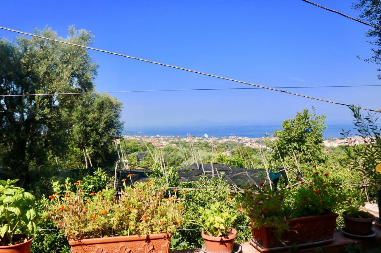 Traulivi Country House Meta Ngoại thất bức ảnh